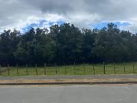 Cabaña Los Maquis - Bed and Breakfast La Junta