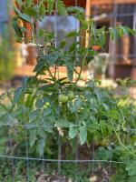 Flor de canela 4 - Chambres d’hôtes Punta del Este