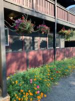 Hidden JEM - Your Home Away From Home - Ferienwohnung Coal Harbour
