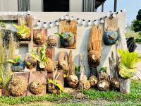 晴天慢旅 Lumière - B&B Xila’ouka