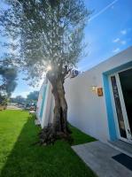 Il Giardino delle Fate - Ferienwohnung San Teodoro