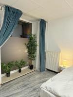 Appartamento con 1 Camera da Letto
