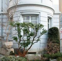 Aurevo 3BR Apartment for 6 - Free Baselcard - B&B Basel