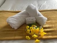 Gemini 2 - B&B Great Wyrley