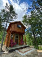 Funky Bunky - B&B Nelson