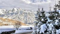 Apartment with Mountain View