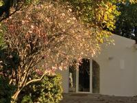 Casa do Hibisco - B&B