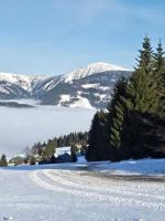 Apartmán Maršovák Horní Maršov - B&B Horní Maršov