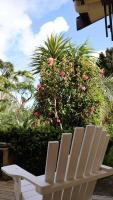 Tranquil Early 1900s Retreat in Auckland with Free Parking - B&B Auckland