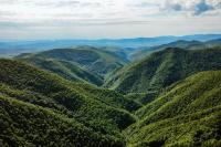 Pensiunea Lara & Mara - Bed and Breakfast Valea Ierii
