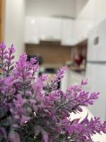 Luxury & Comfort near the University - B&B Blagoevgrad