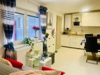 Cozy apartment - Chambres d’hôtes Jelenov