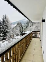 Apart Erle 181 Top 4 - B&B Schladming