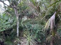 Blue Horizon Hideaway - B&B Matapouri