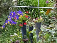 MarijaM-Haus - B&B Badenweiler