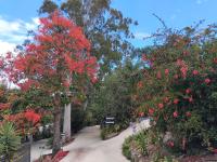 "On Burgum Pond" Cottages - Bed and Breakfast Maleny
