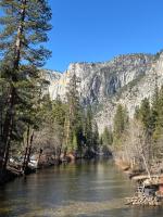 Cozy Cub Cabin, brand new home near Yosemite - Chambres d'hôtes Mariposa