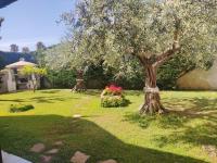 Sicily House - B&B Marsala