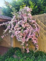 Sancerre Maison Le Saint-Romble, 3 étoiles, pour 4 pers, jardin, proche de l'école COEUR DE FRANCE - Chambres d'hôtes Sancerre