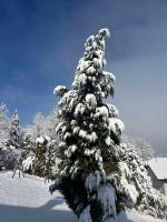 Nature escape Sarajevo - Bed and Breakfast Kasatići