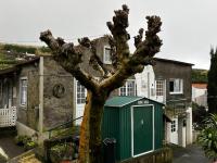 Casa do Stefan - B&B Lomba