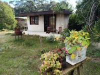 Cabaña Ecológica Mulle - B&B La Aguada