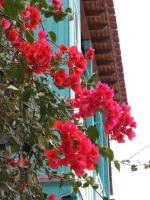 Dimitra's House - Bed and Breakfast Glóssa