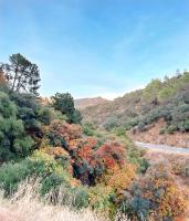 ALOJAMIENTO TURISTICO LAS SOLANERAS - B&B Solana del Pino