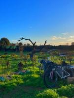 l'expérience Berbère - B&B Agadir