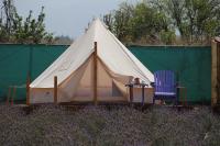 Glamping Rincón de Lavanda - B&B Texcoco