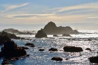 Pacific Seaside House by Pebble Beach & Redwoods - Ferienwohnung Crescent City