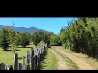 Casa Pucon Palguin - B&B Pucón