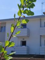 Pine view - B&B Bibione