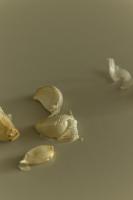 One-Bedroom Deluxe Apartment