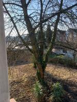Business Apartment Herne-Wanne - Bed and Breakfast Herne
