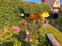 Zur gemütlichen Weinlaube - Bed and Breakfast Ribnitz-Damgarten