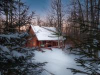Driftland Cabin sauna, hot tub, pizza oven - Bed and Breakfast Davis