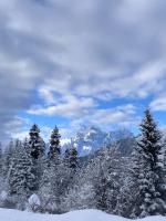 Tariba Guesthouse & Camping - Ferienwohnung Mestia