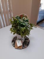 Nonnas Place - B&B Stanthorpe