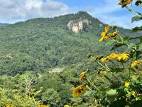 เสาวลักษณ์อินทนนท์โฮมสเตย์ Saowalak Inthanon Homestay - Ferienwohnung Ban Mae Ka Luang