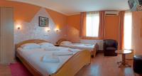 Deluxe Double or Twin Room with Balcony