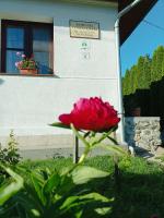 Kemencés Vendégház - B&B Mikóháza