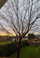 The Garden Annexe, walk to Derriford and close to Dartmoor with Parking - B&B Plymouth