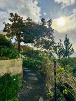 Apartamento Precioso - B&B Arco da Calheta