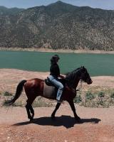 Junior Suite with Garden View
