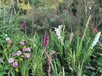 Hameau Fleuri - B&B Pierrefitte-en-Auge