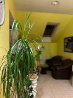 Byron - B&B Zlaté Moravce