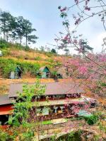 Homestay Ngỏ Nhỏ - B&B Ðà Lạt