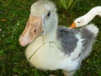 Palacio de Arredondo - B&B Gama