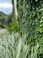 Casa Jardin BV - Bed and Breakfast San Antonio